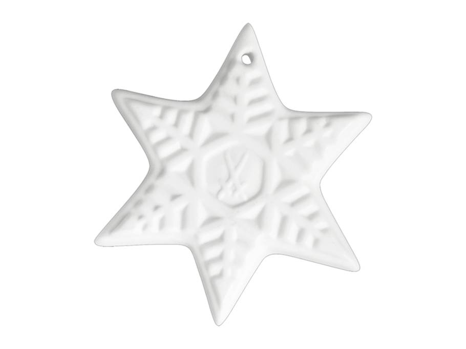 Baumschmuck Medaillon weiß Weihnachtsstern   groß