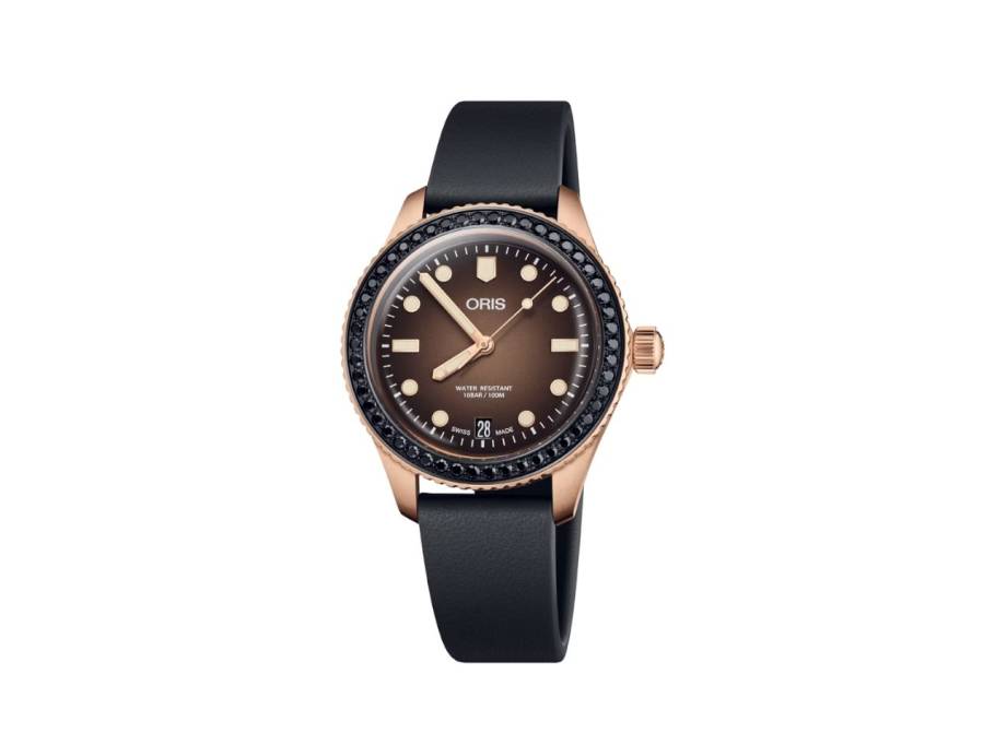 Divers Sixty-Five 36 Bronze Herzog Loibner Limited Edition 